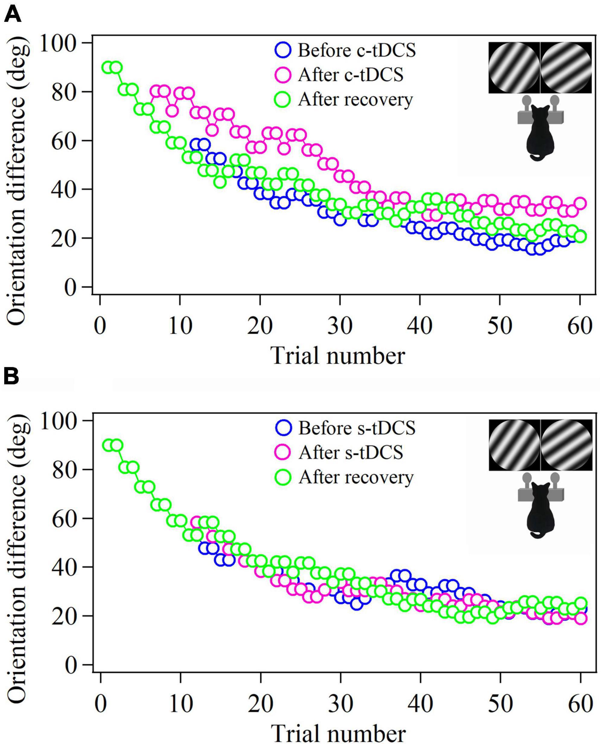 Suppression of top-down influence decreases both behavioral and V1 neuronal response sensitivity to stimulus orientations in cats